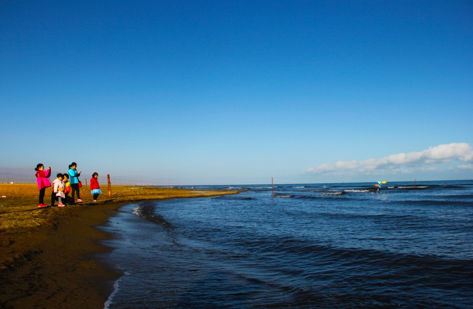 请输入图片描述